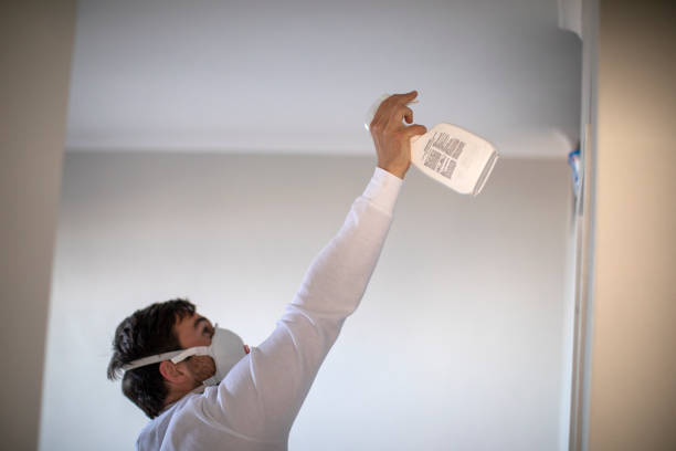 Best Residential Mold Removal  in Rollingwood, TX