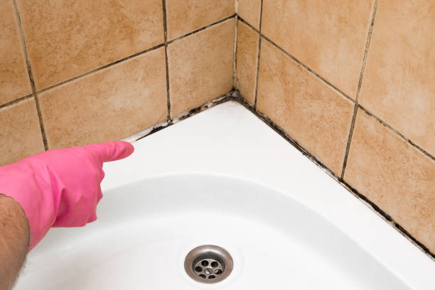 Crawl Space Mold Removal in Rollingwood, TX